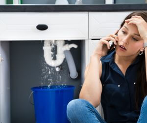 About The Faucet Pros Protem, MO